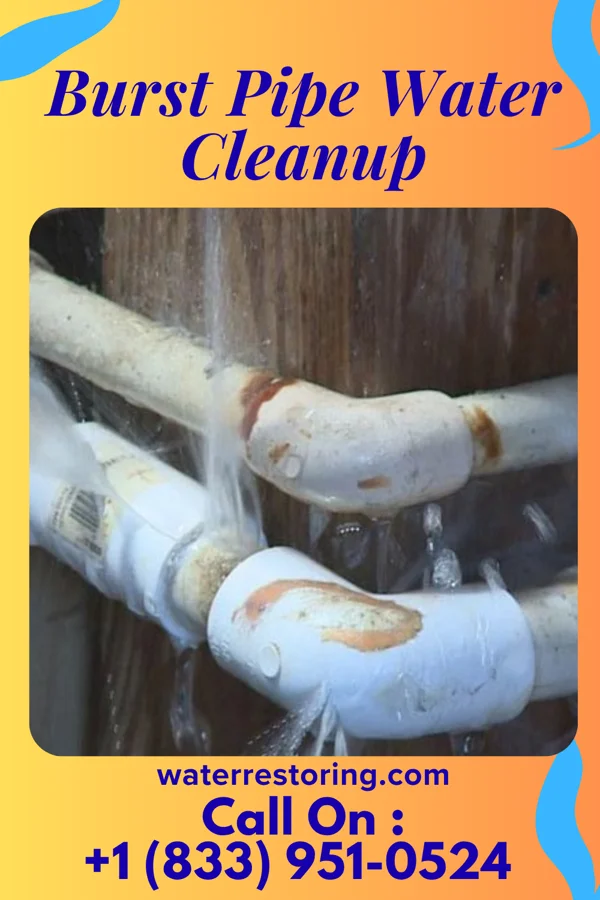 Burst Pipe Water Cleanup in Palmyra, PA
