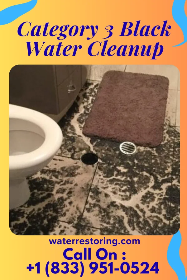 Category 3 Black Water Cleanup in Palmyra, PA