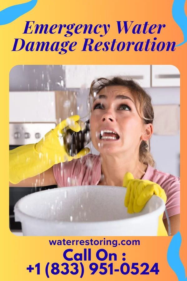 Emergency Water Damage Restoration in Palmyra, PA