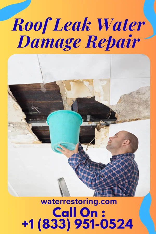 Roof Leak Water Damage Repair in Palmyra, PA